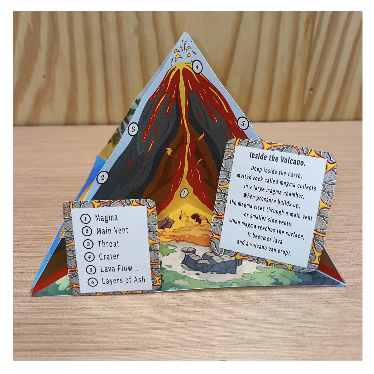 Volcano model for school project with labelled cross section for EVS and geography