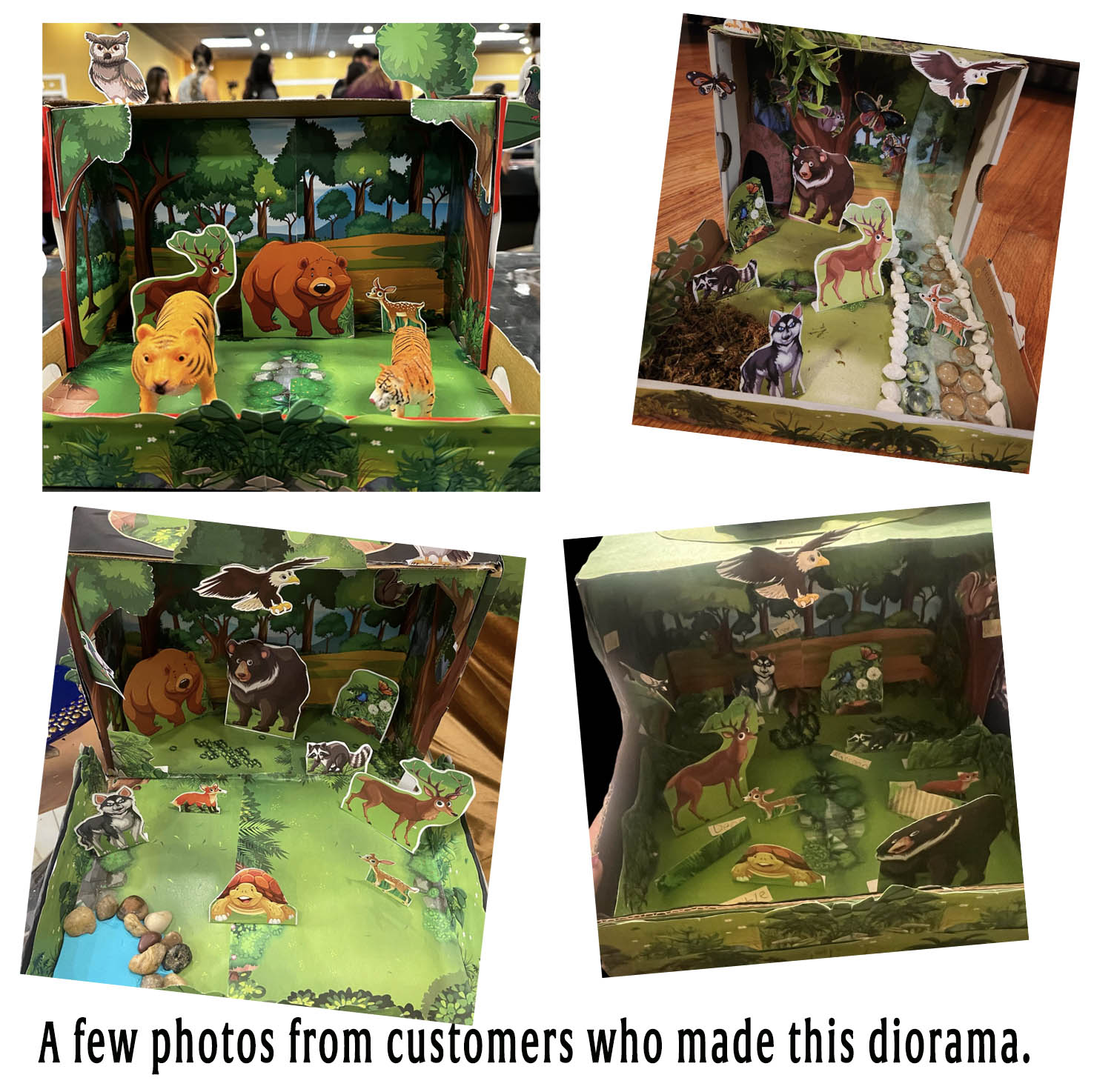 Examples of forest habitat school projects made from the printable diorama