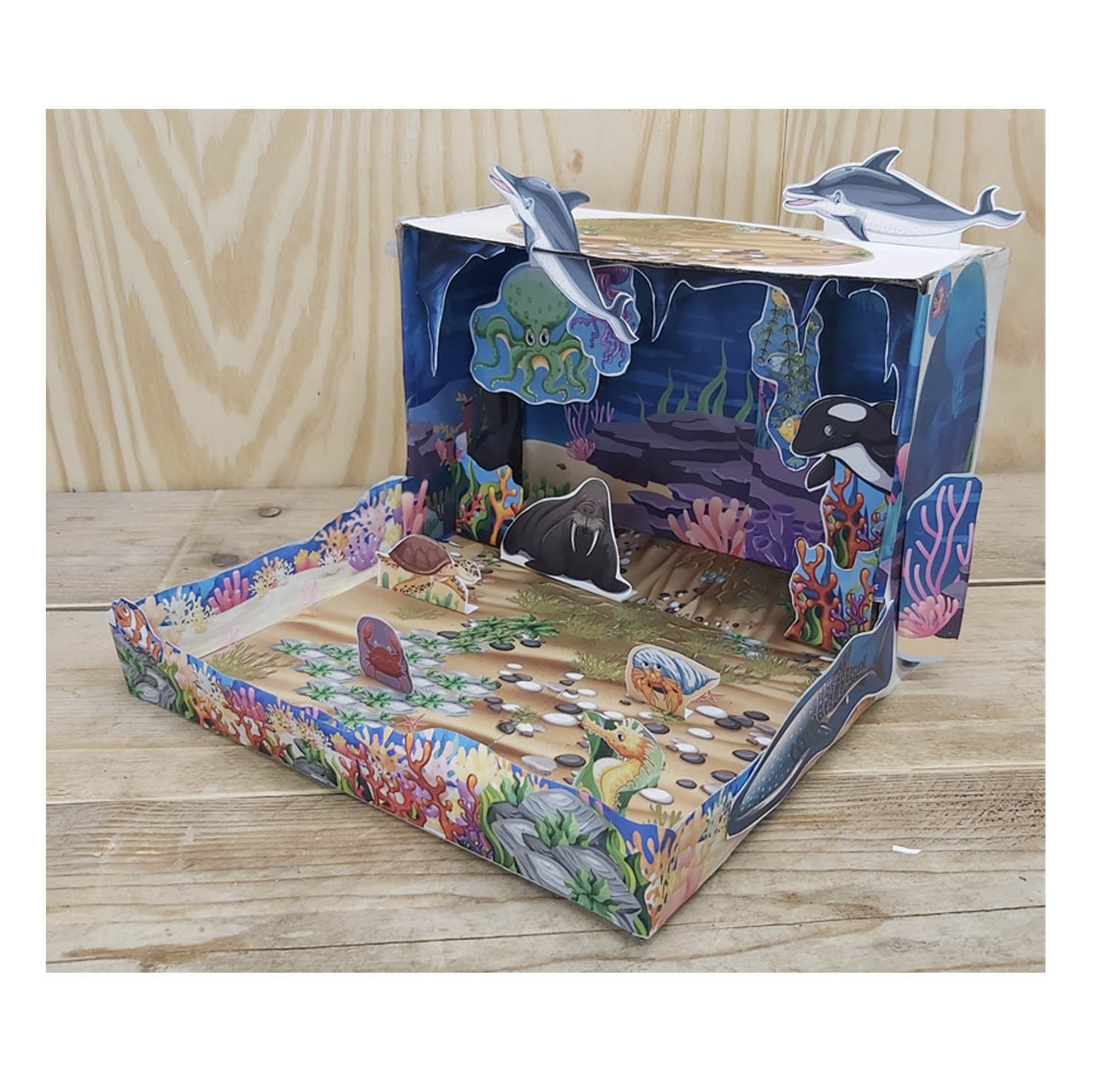 Ocean habitat model with dolphin whale turtle coral and sea animals