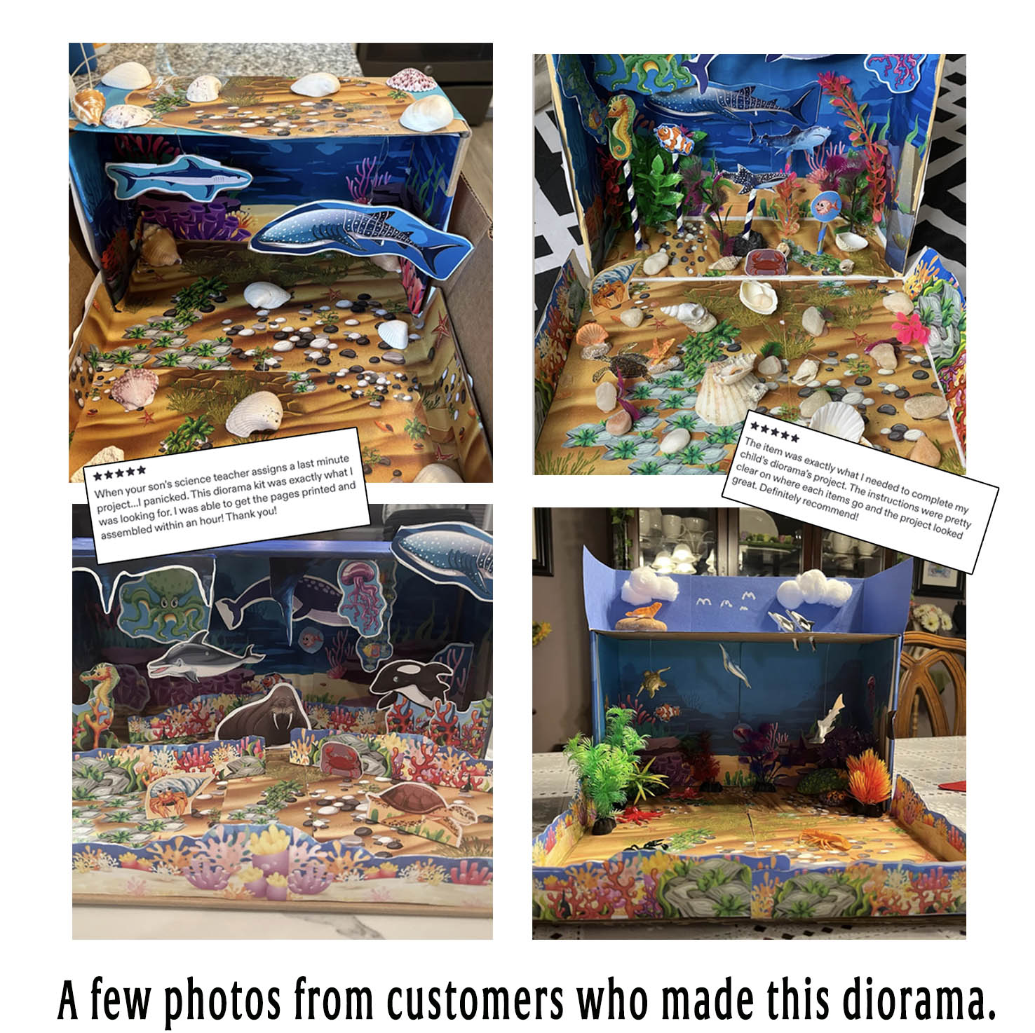 Examples of ocean habitat school projects created by customers and families