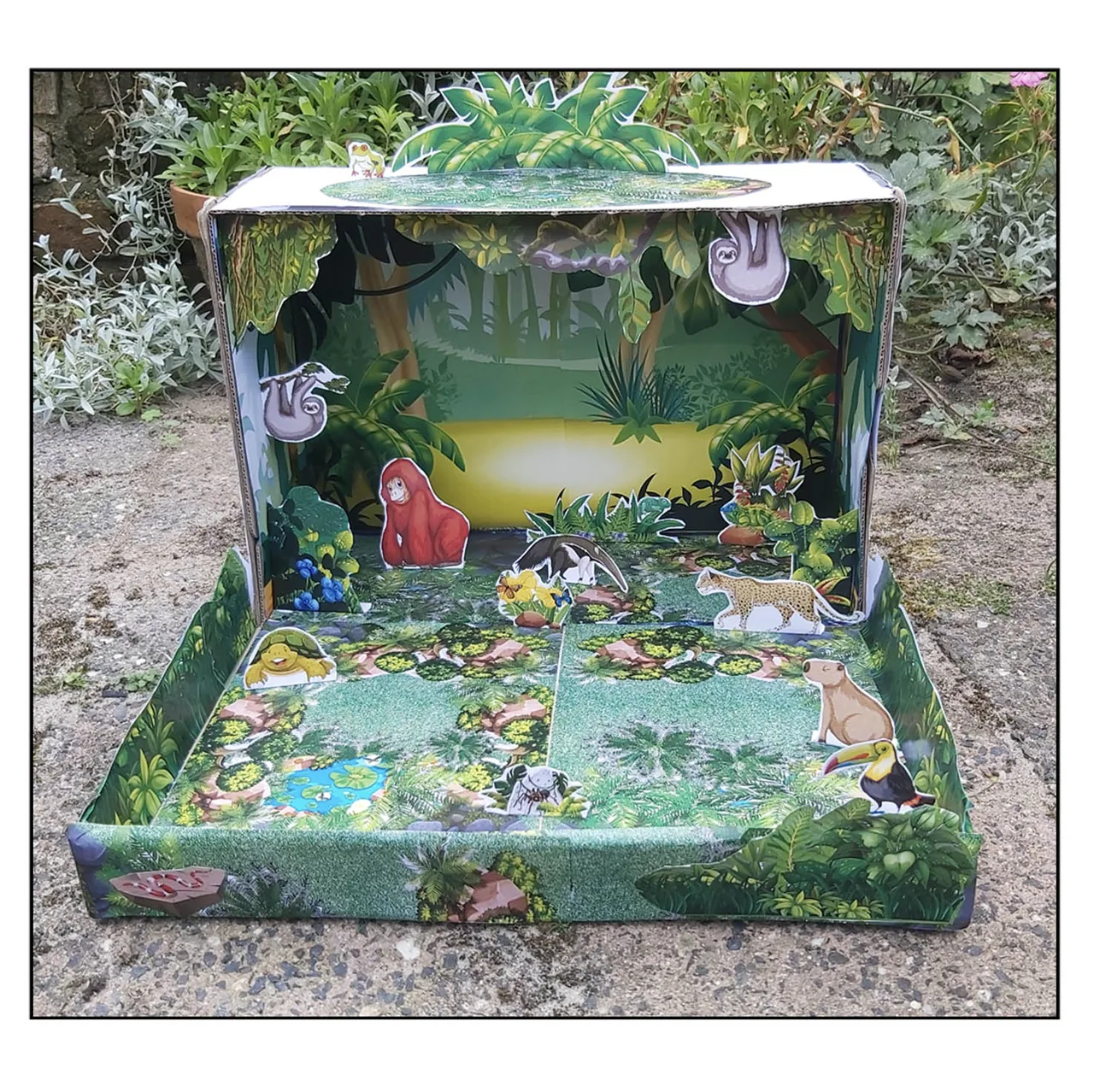 Rainforest habitat project for students in India