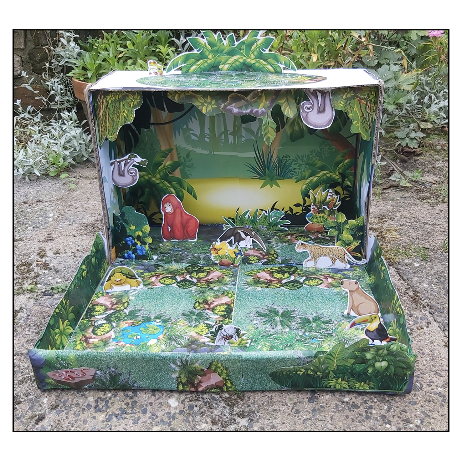 Rainforest habitat project for students in India