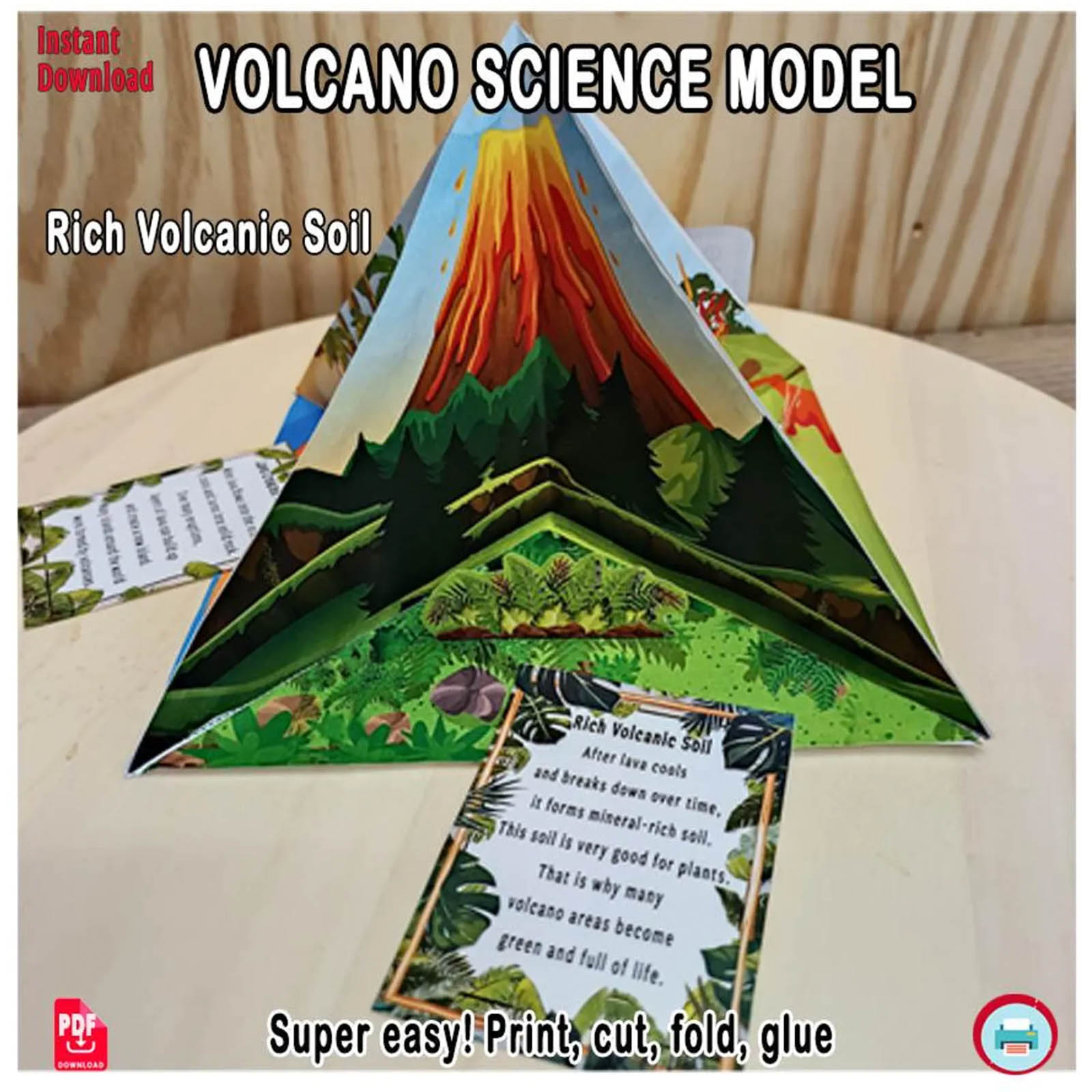 Volcano diorama with plants, trees and an English information card about mineral-rich volcanic soil