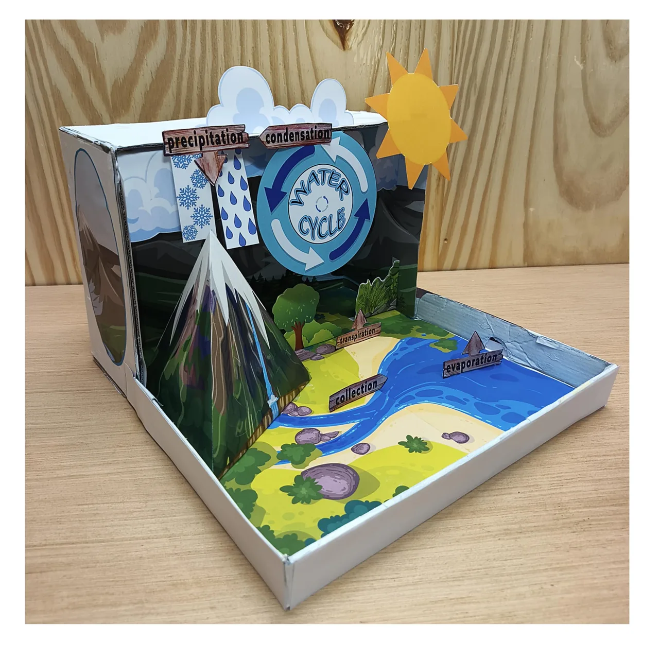 Completed water cycle shoebox diorama viewed from the opposite side